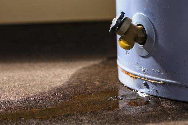  Laurel Lake, NJ Water damage restoration Pros