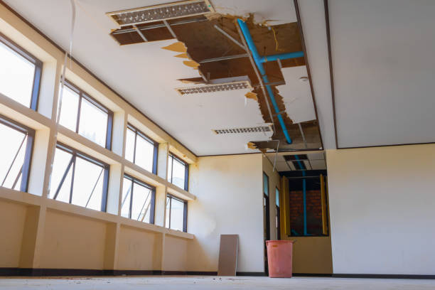 Best Residential water damage restoration  in Laurel Lake, NJ