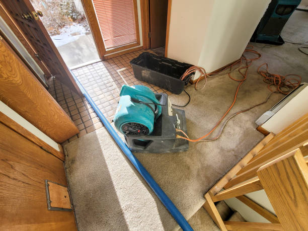 Best Water damage restoration services  in Laurel Lake, NJ