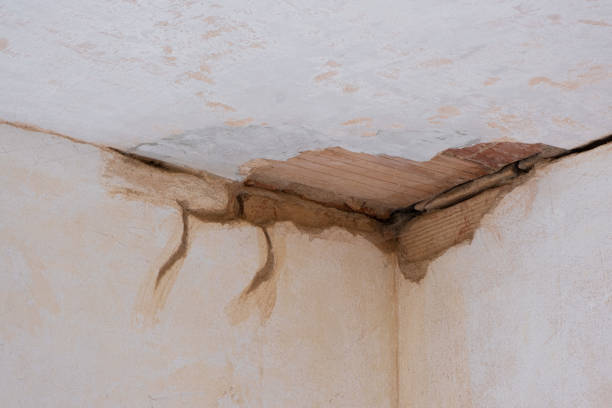 Best Water damage restoration near me  in Laurel Lake, NJ