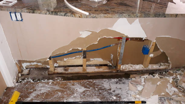 Best Water damage restoration near me  in Laurel Lake, NJ