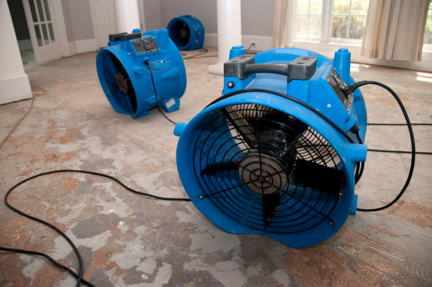Best Ceiling water damage repair  in Laurel Lake, NJ