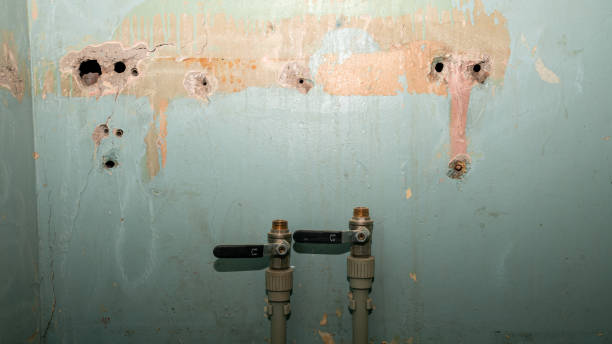 Best Professional water damage repair  in Laurel Lake, NJ