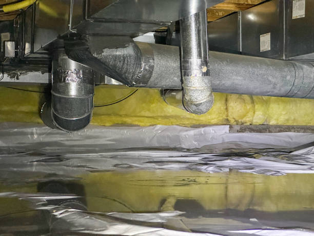 Best 24/7 water damage repair  in Laurel Lake, NJ